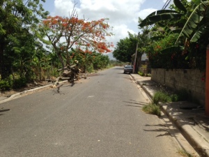 A view as we were walking at the end of one of the streets in Santiago, Dominican Republic.